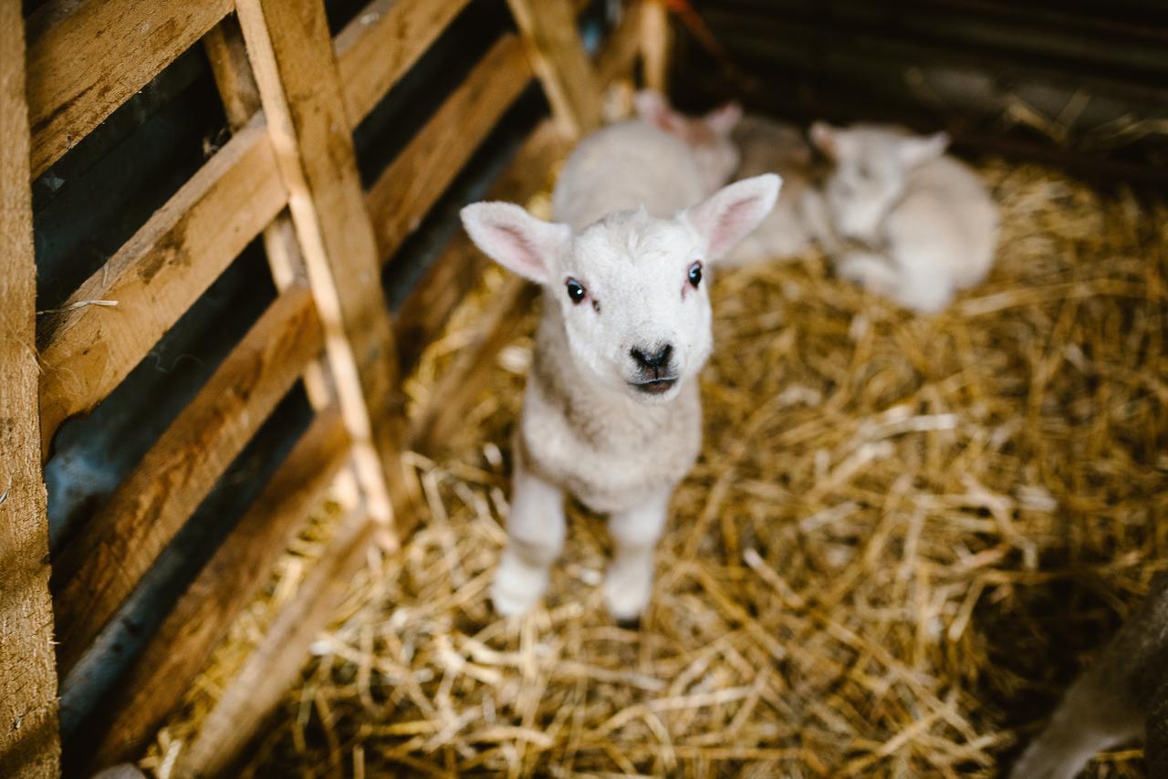 Bondcroft Farm