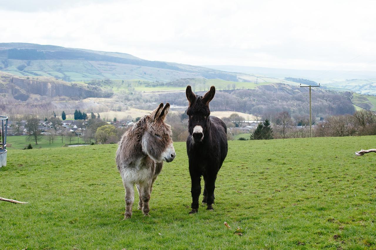 Bondcroft Farm Embsay