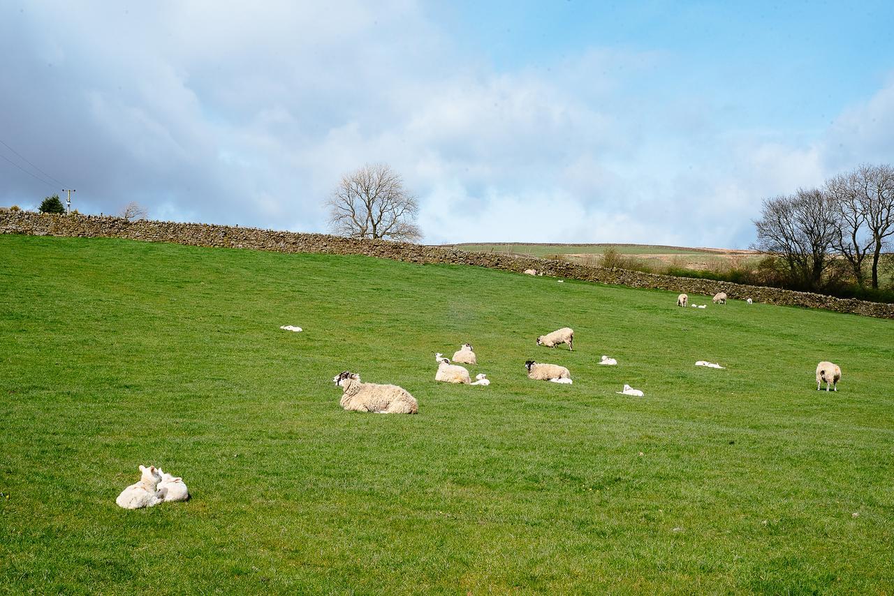 Bondcroft Farm Embsay