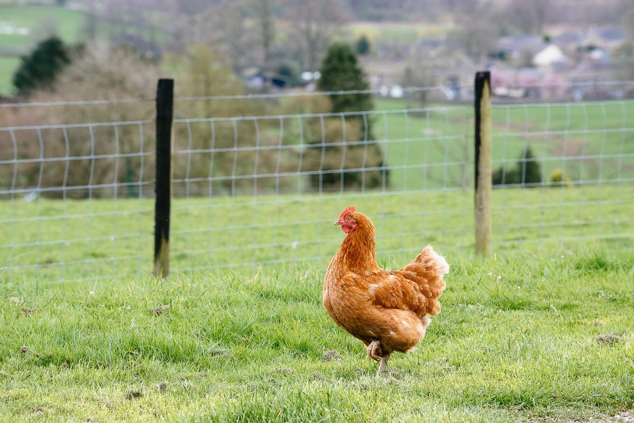 Bondcroft Farm Embsay