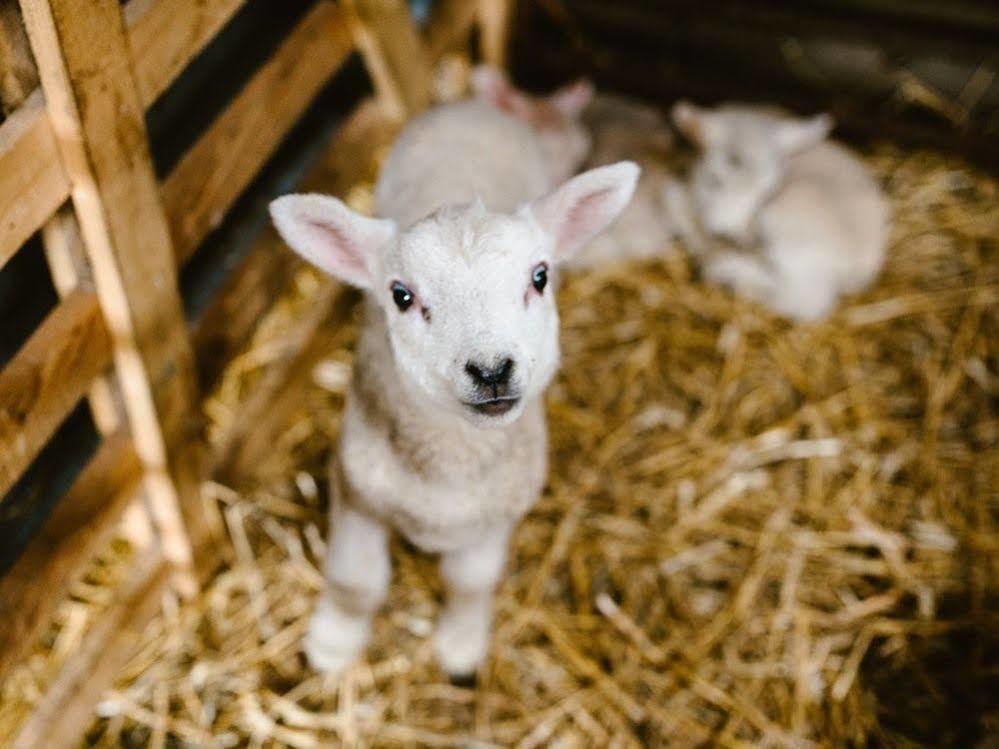 Bondcroft Farm Acomodação com café da manhã  Embsay