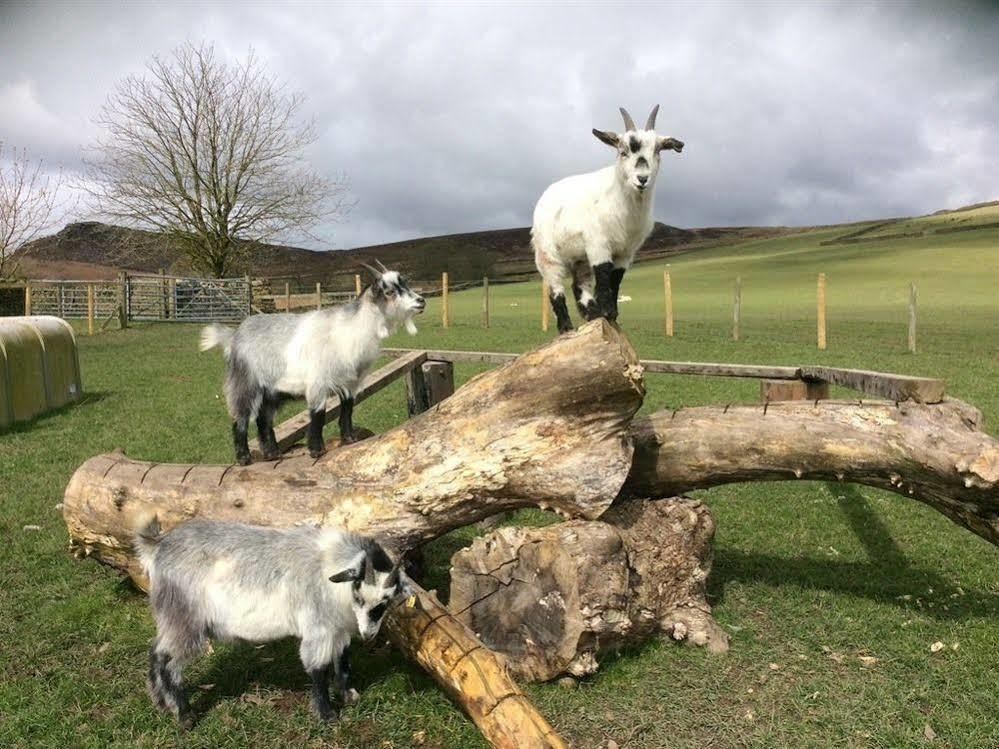 Bondcroft Farm Acomodação com café da manhã 