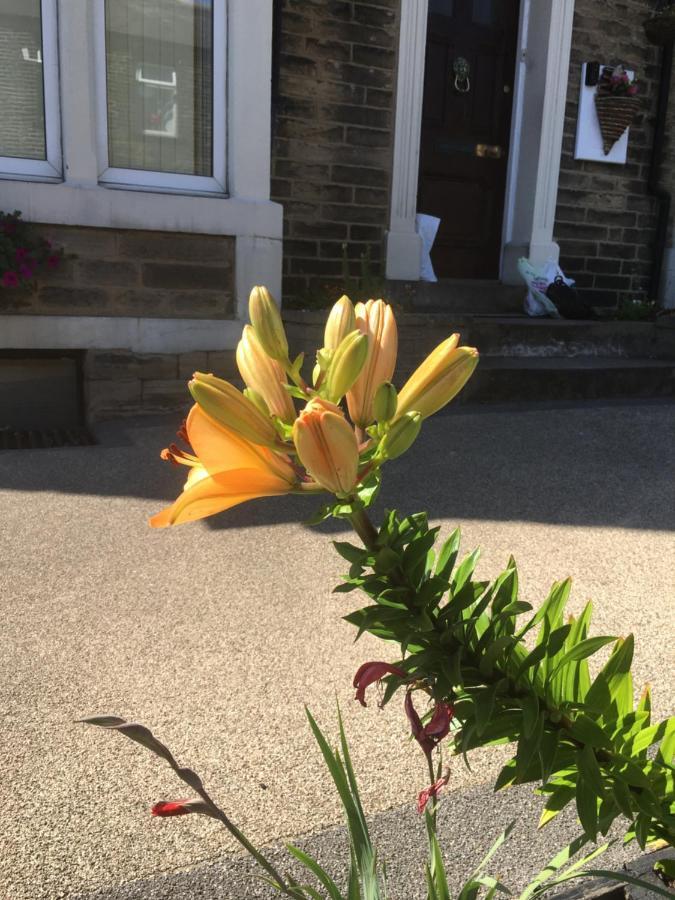 Guest house Highfield Guesthouse Skipton
