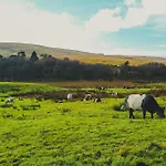 Nethergill Farm