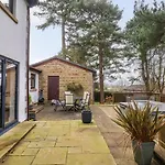 The Pines