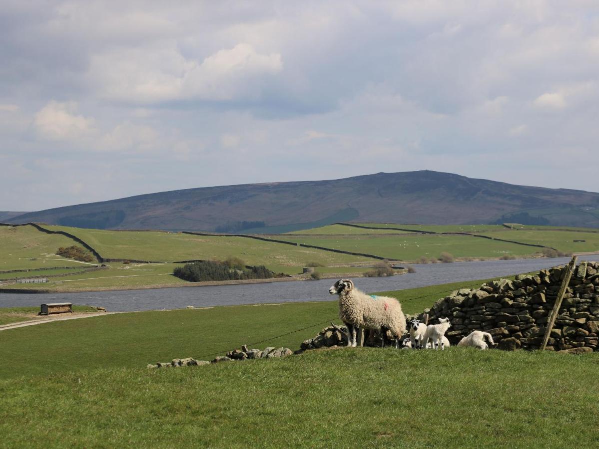 Moor View