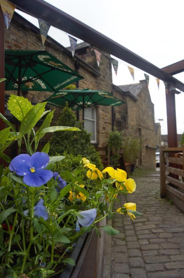 Inn The Woolly Sheep 4*