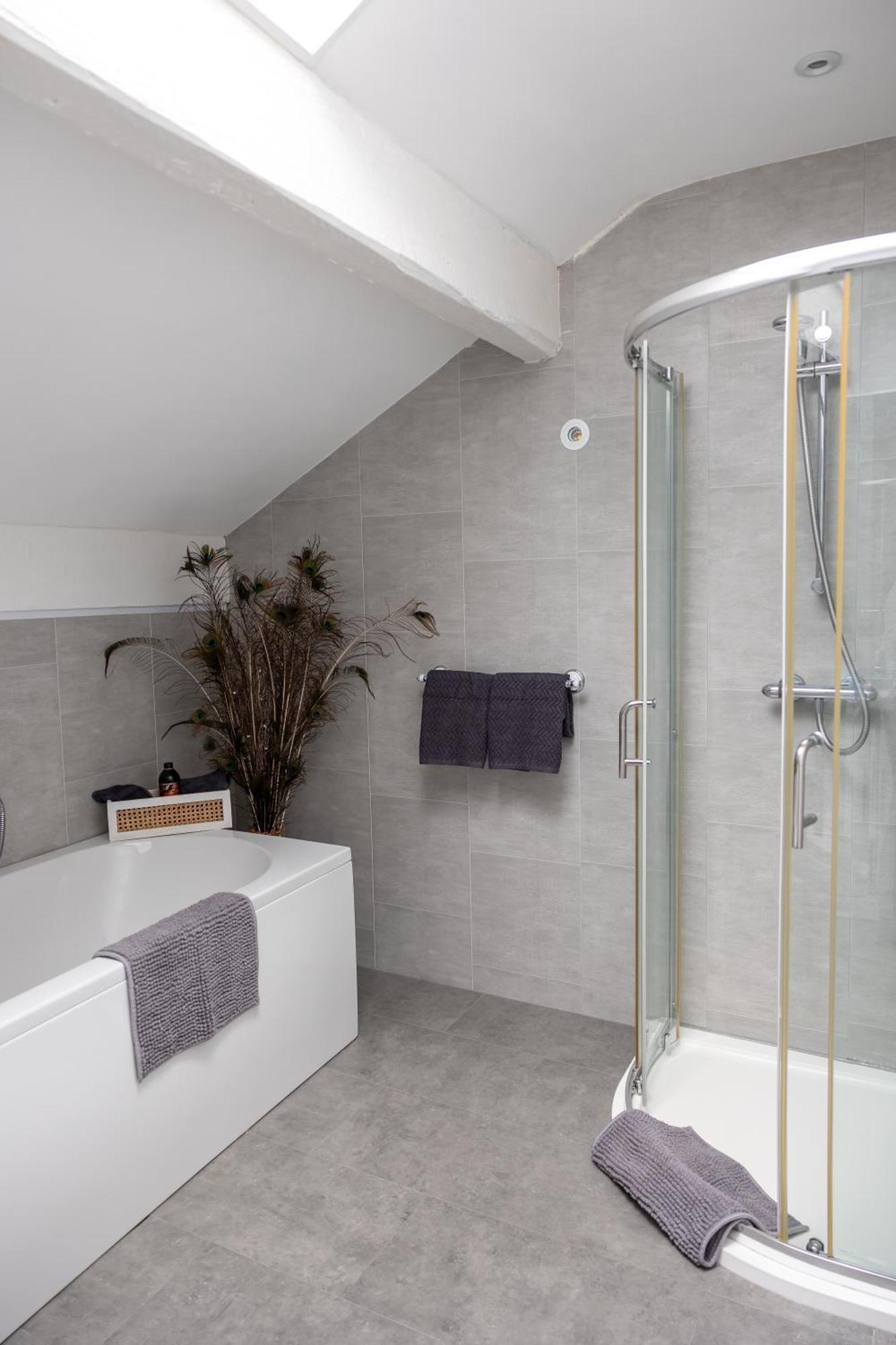 The Amazing Attik Apartment