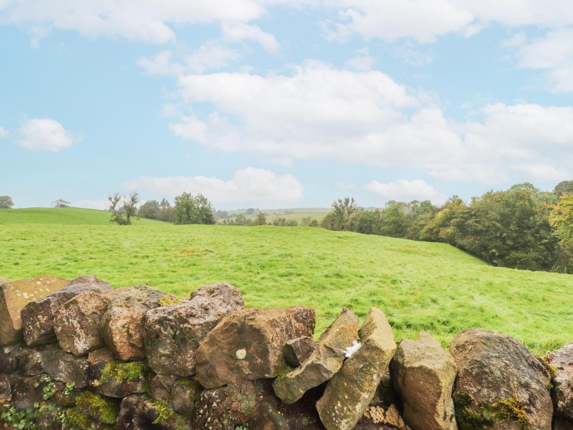 Ewes Leap