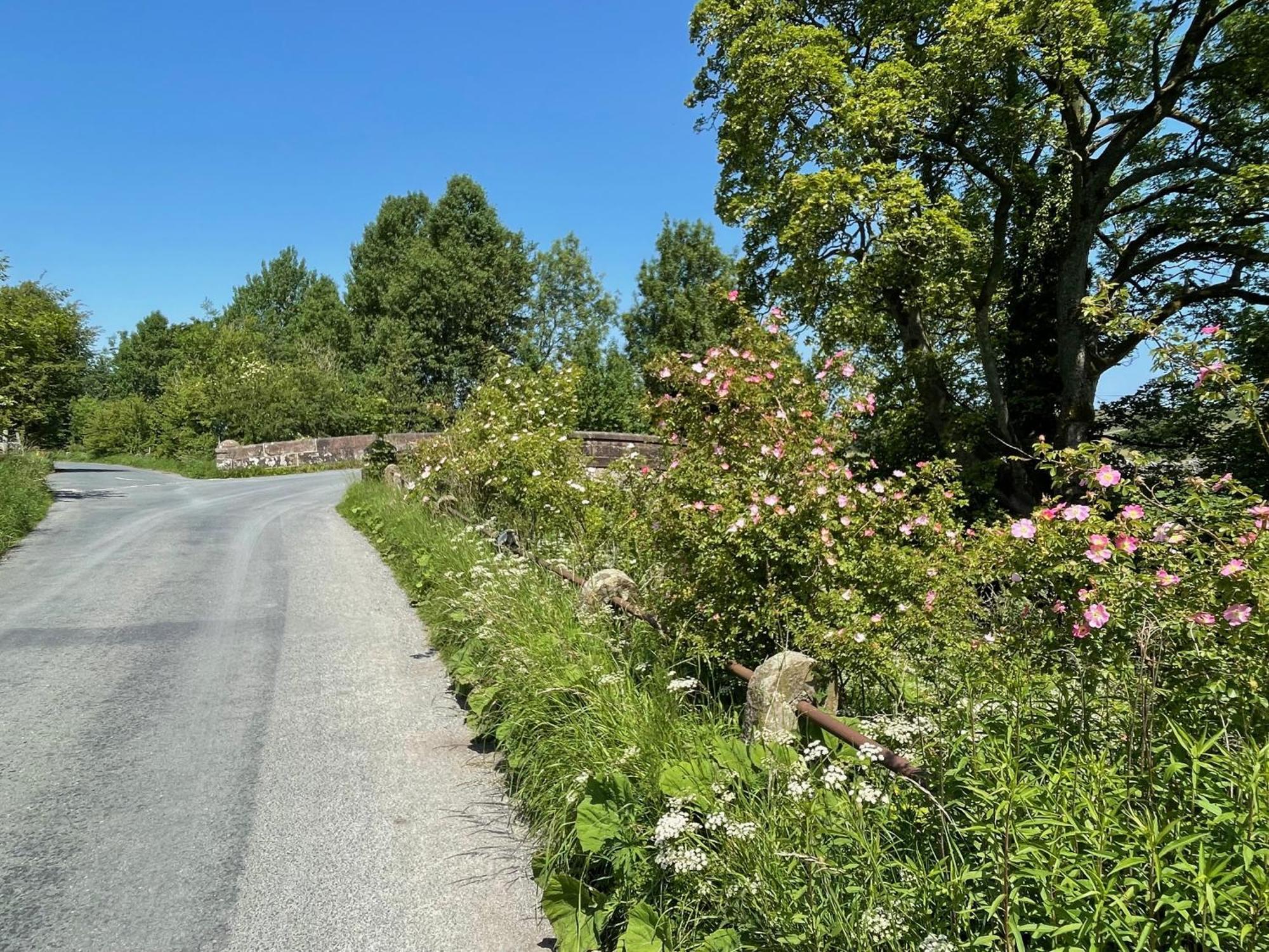 Luxurious Granny House Bell Busk In Malhamdale * Skipton