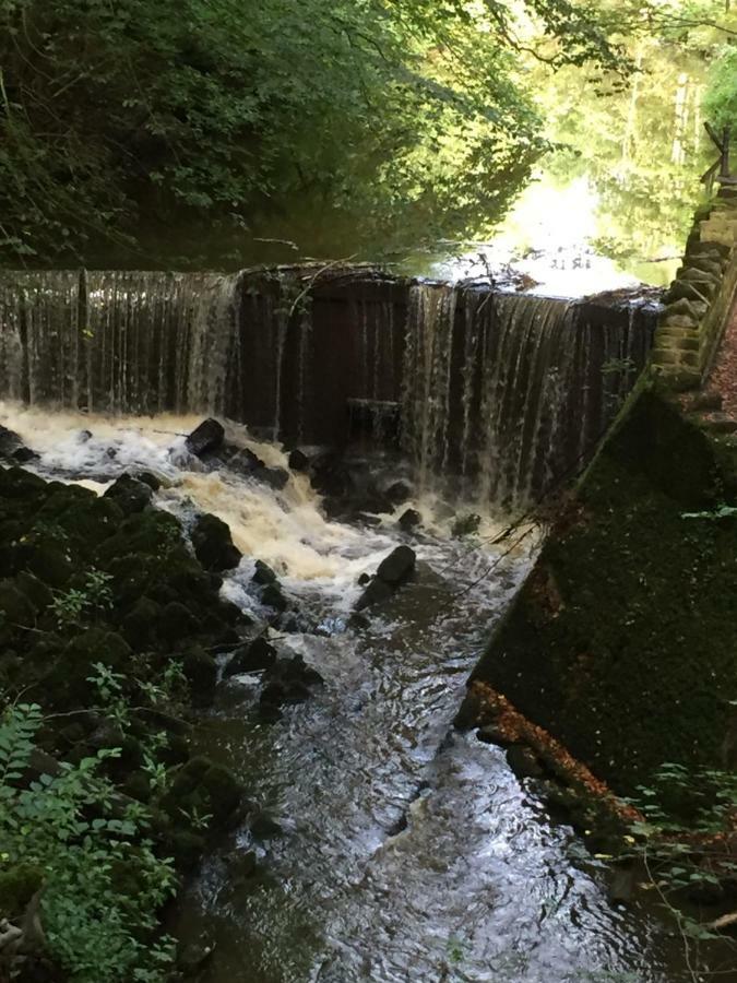 The Pinfold