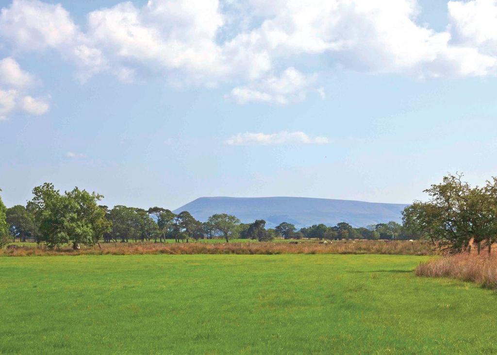 Bowland Fell Park Resort *