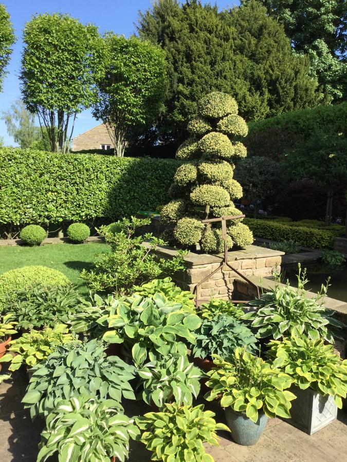 Bed & Breakfast Hall Cononley